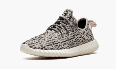 Yeezys Boost 350 Turtle Dove